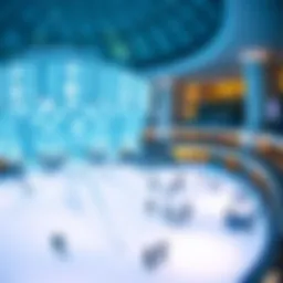 Spectacular view of the ice skating rink at Dubai Mall