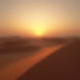 Stunning view of the Liwa Desert dunes under the sunset